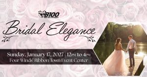 Bridal Elegance Fair thumbnail